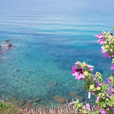 Terrazza & Romantica Sospese Sul Mare Del Borgo Antico --- Terrace & Romantic Over The Sea Of The Ancient Village 카스텔사르도