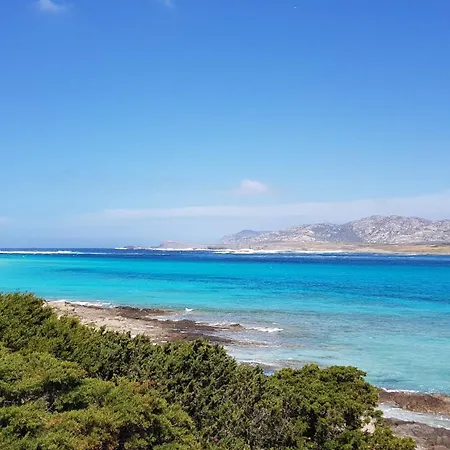 Terrazza & Romantica Sospese Sul Mare Del Borgo Antico --- Terrace & Romantic Over The Sea Of The Ancient Village 아파트 카스텔사르도