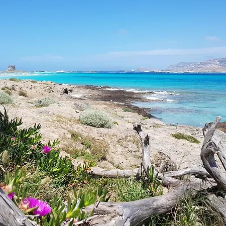 Terrazza & Romantica Sospese Sul Mare Del Borgo Antico --- Terrace & Romantic Over The Sea Of The Ancient Village 아파트 *
